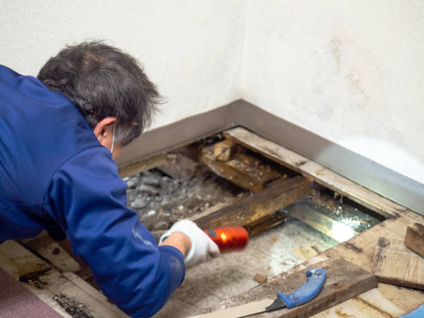 Best Water Damage Restoration  in Henderson, GA
