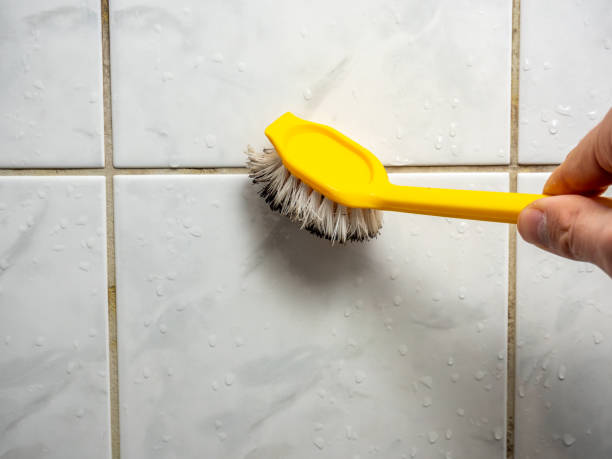 Home Mold Removal in Henderson, GA