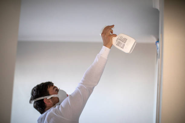 Best Local Mold Removal Service  in Henderson, GA