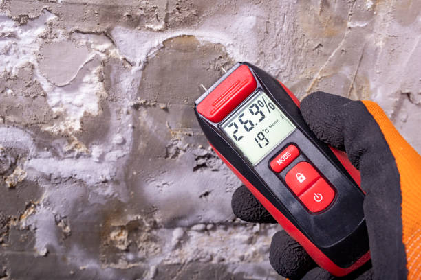 Best Mold Remediation  in Henderson, GA
