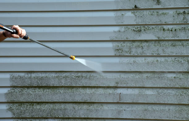 Best Attic Mold Removal  in Henderson, GA