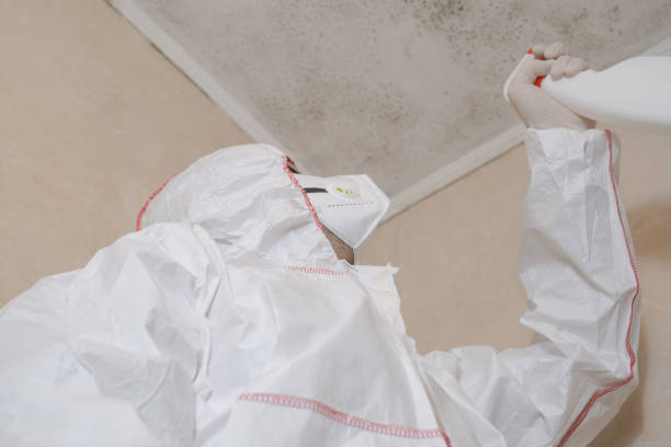 Best Residential Mold Removal  in Henderson, GA