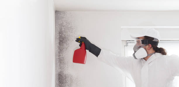 Best Office Mold Removal Services  in Henderson, GA