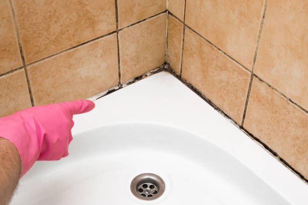 Best Mold Remediation  in Henderson, GA
